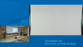 thumbnail of medium Grundlagen Biochemie_Mikrobiologie_Vorlesung 19_Vollständig