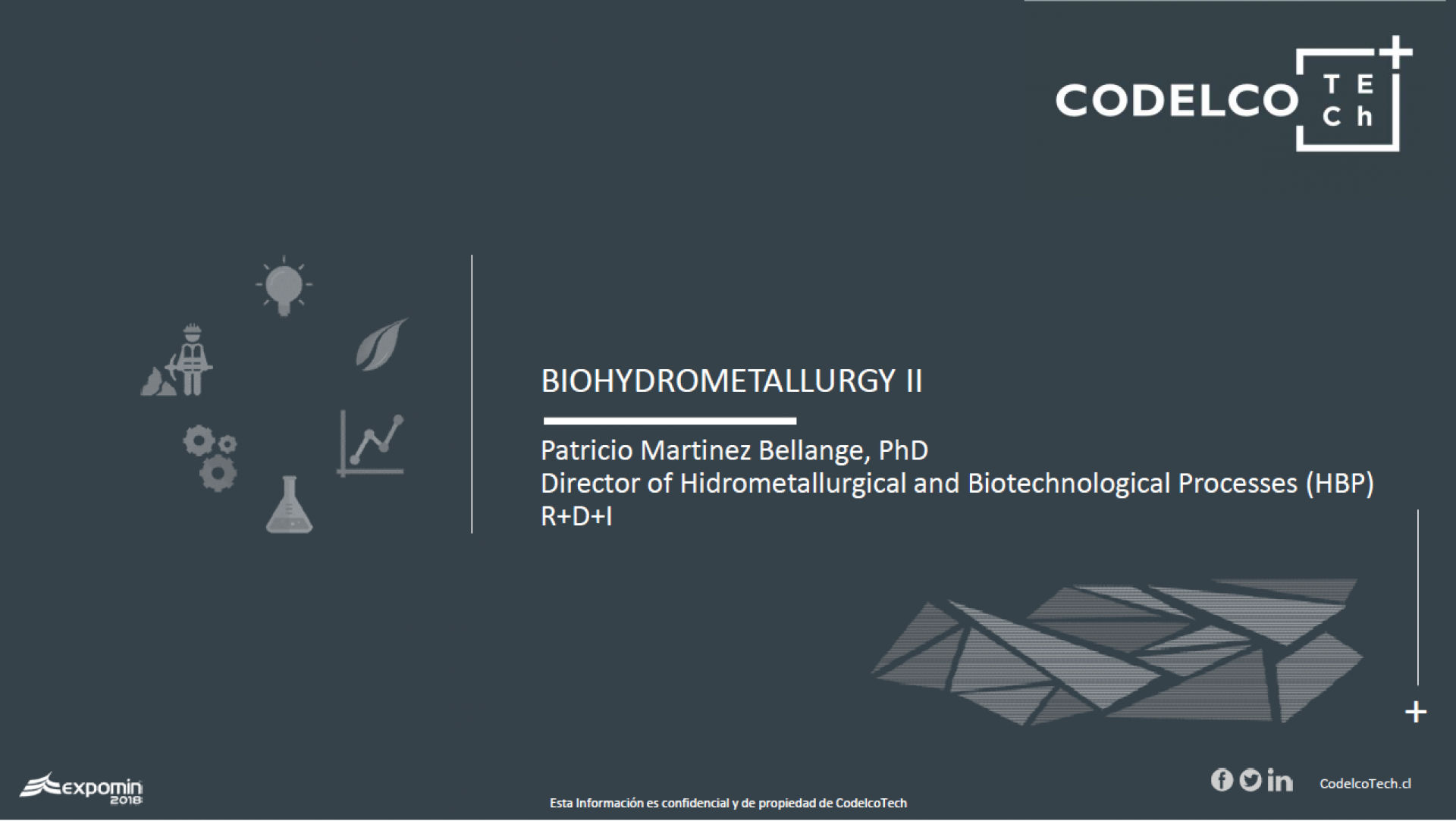 SINReM Guest Lecture 2020 - 6 Biohydrometallurgy II