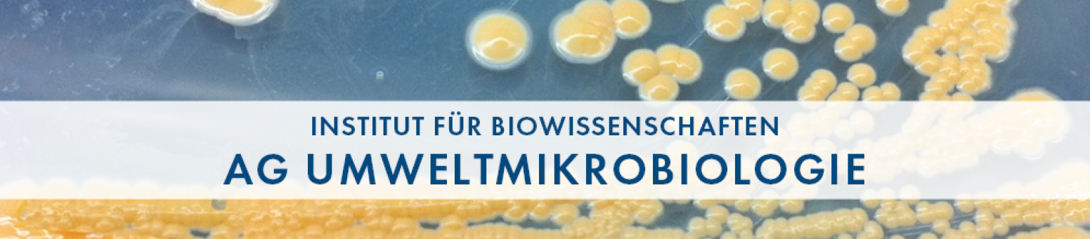 thumbnail of channel Biowissenschaften - AG Umweltmikrobiologie