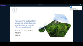 thumbnail of medium Ecosystems Presentation 11