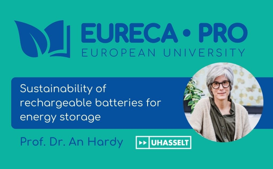 Lecture by Prof. An Tiny Maria Hardy: Sustainability of Rechargeable Batteries for Energy Storage