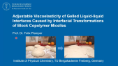 thumbnail of medium Interfacial Transformations of Adsorbed Micelles (pizza preparation)