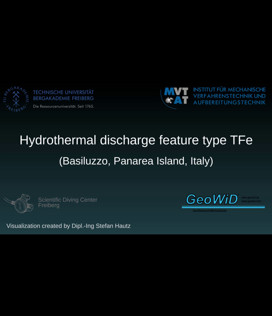 X-ray microscopy of a hydrothermal fluid discharge from Panarea (Italy)