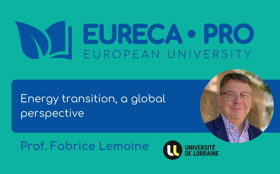 Lecture by Fabrice Lemoine: Energy transition, a global perspective