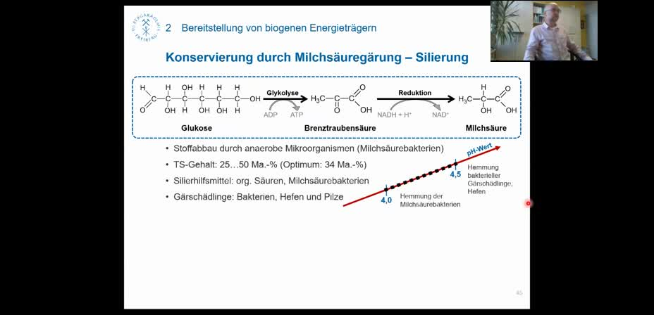 Krzack: Vorlesung Biomassetechnologien, Kapitel 3