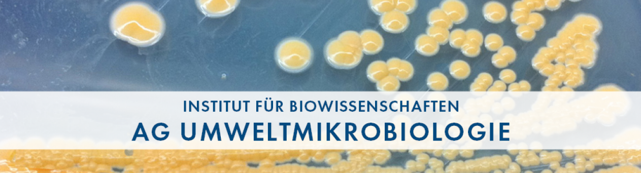 Biowissenschaften - AG Umweltmikrobiologie