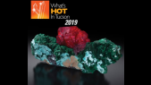 thumbnail of medium What's Hot In Tucson: 2019