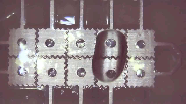 thumbnail of medium Electrowetting3