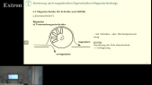 thumbnail of medium Mechanisches Sortieren - Abschnitt Magnetscheidung - Teil 03 + Seminaraufgaben