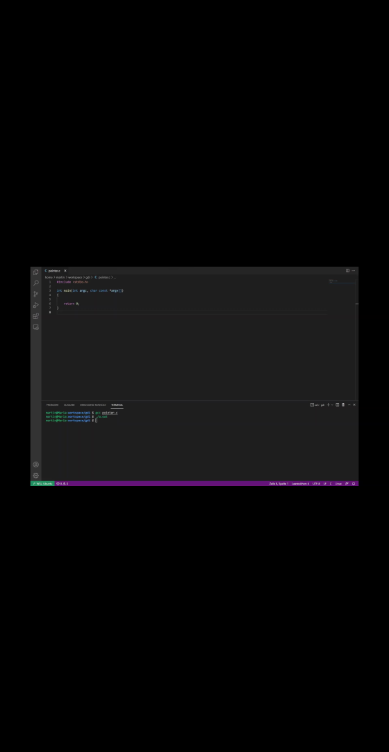 C-Programmierung: Pointer und Arrays