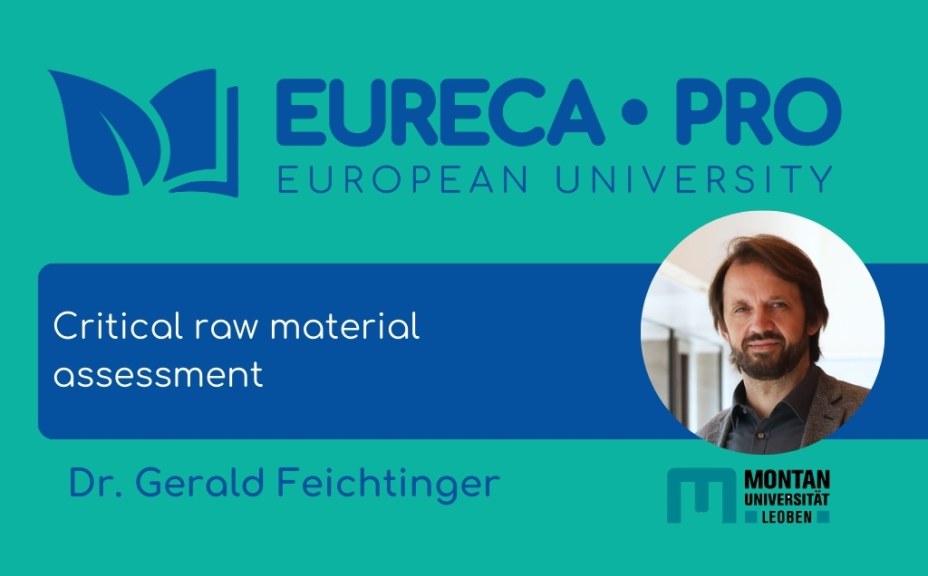 Lecture by Gerald Feichtinger: Critical Raw Material Assessment