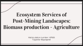 thumbnail of medium Ecosystems Presentation 18