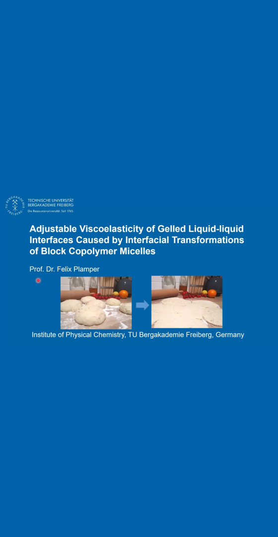 Interfacial Transformations of Adsorbed Micelles (pizza preparation)