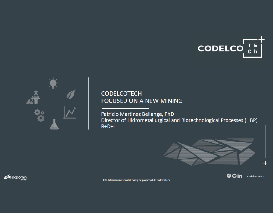 SINReM Guest Lecture 2020 - 2 Codelco