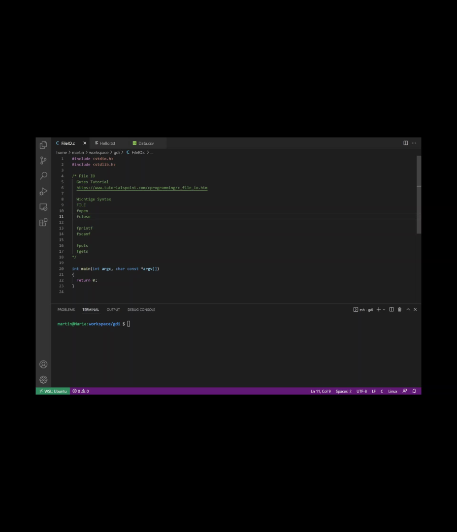 C-Programmierung: File I/O